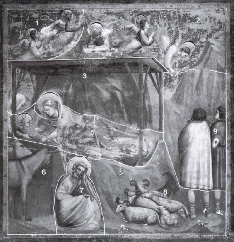 GIOTTO di Bondone The birth, with the giornate indicated oil painting image